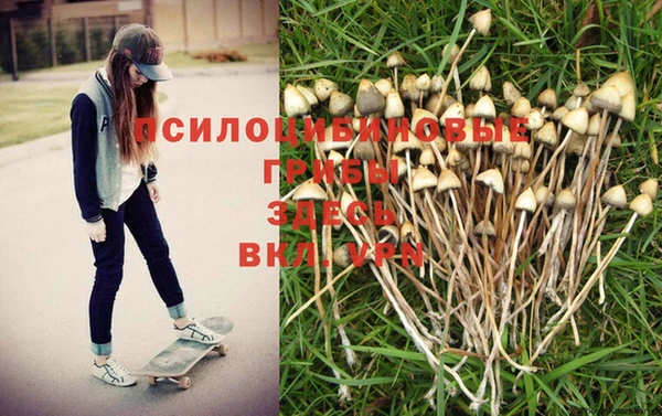 ECSTASY Краснослободск