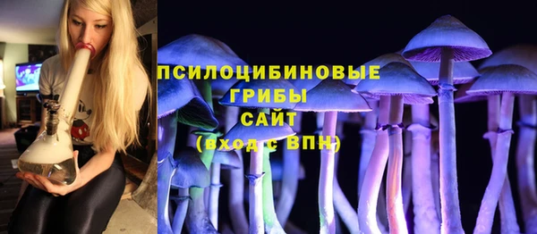 шишки Нязепетровск
